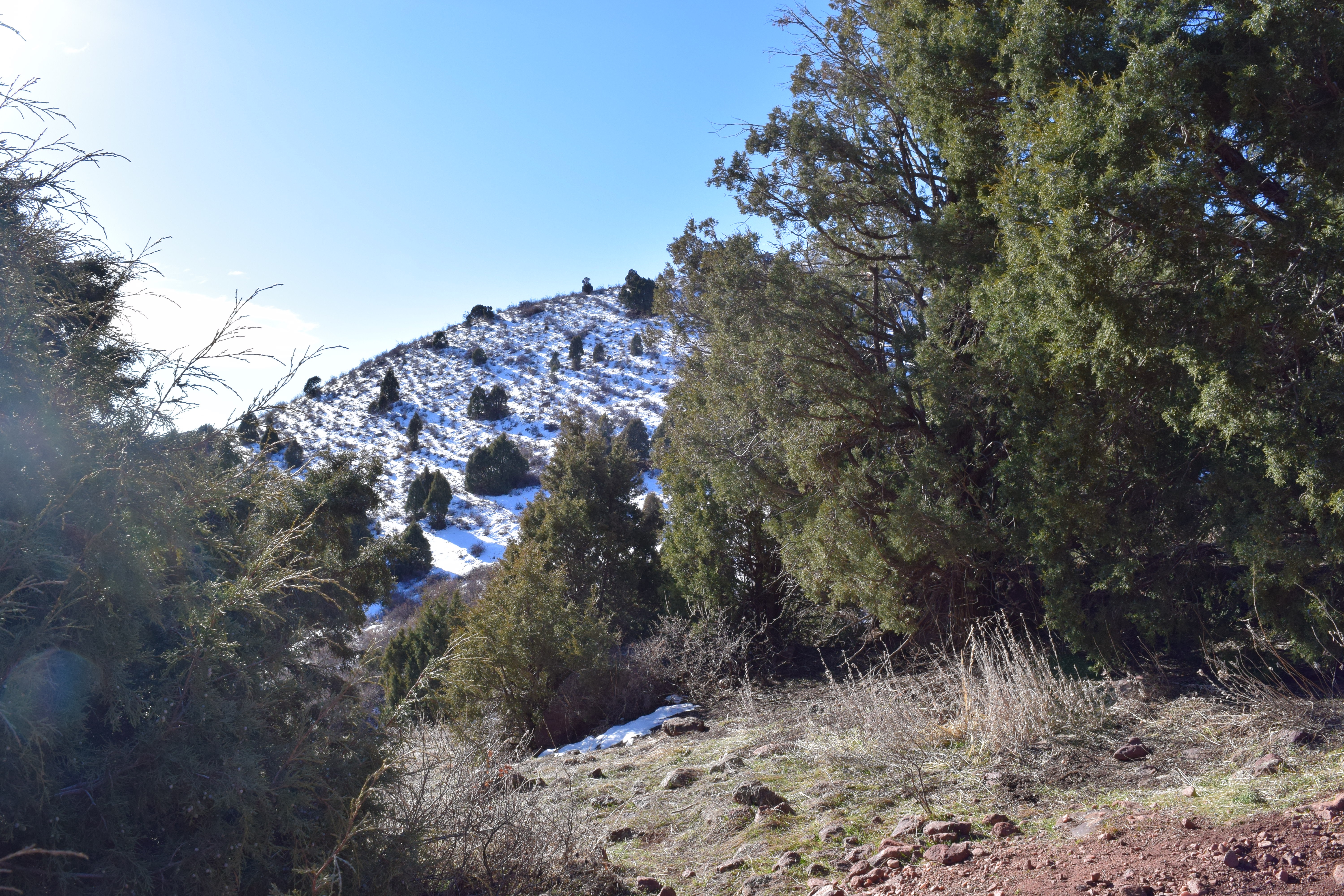 Red Rocks & Dakota Ridge Loop Trail