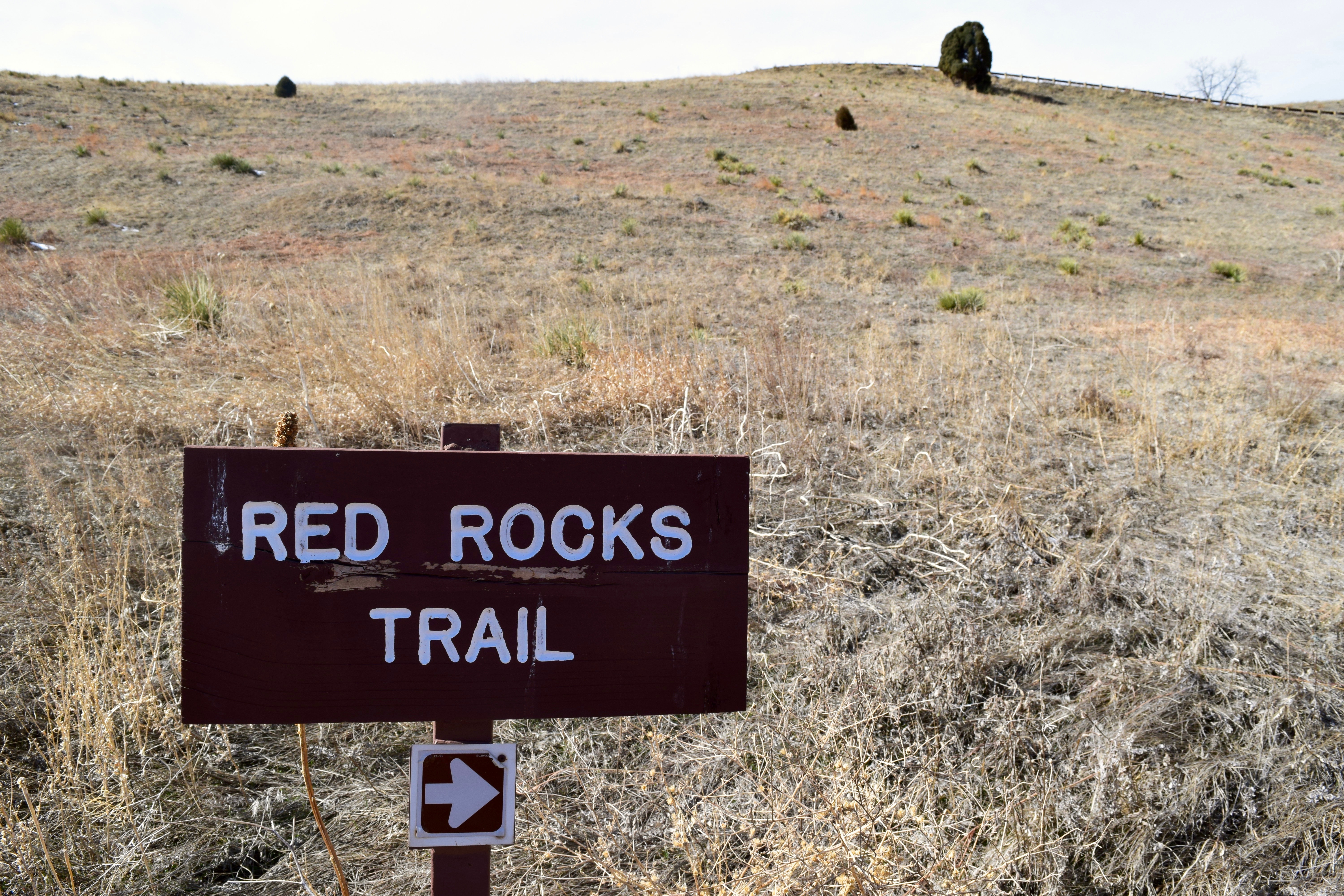 Red Rocks & Dakota Ridge Loop Trail