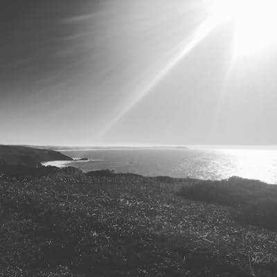 Tomales Point Trail, Point Reyes National Seashore
