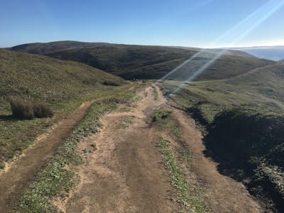 Tomales Point Trail, Point Reyes National Seashore