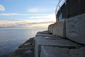 Freedive or Snorkel Ogden Point