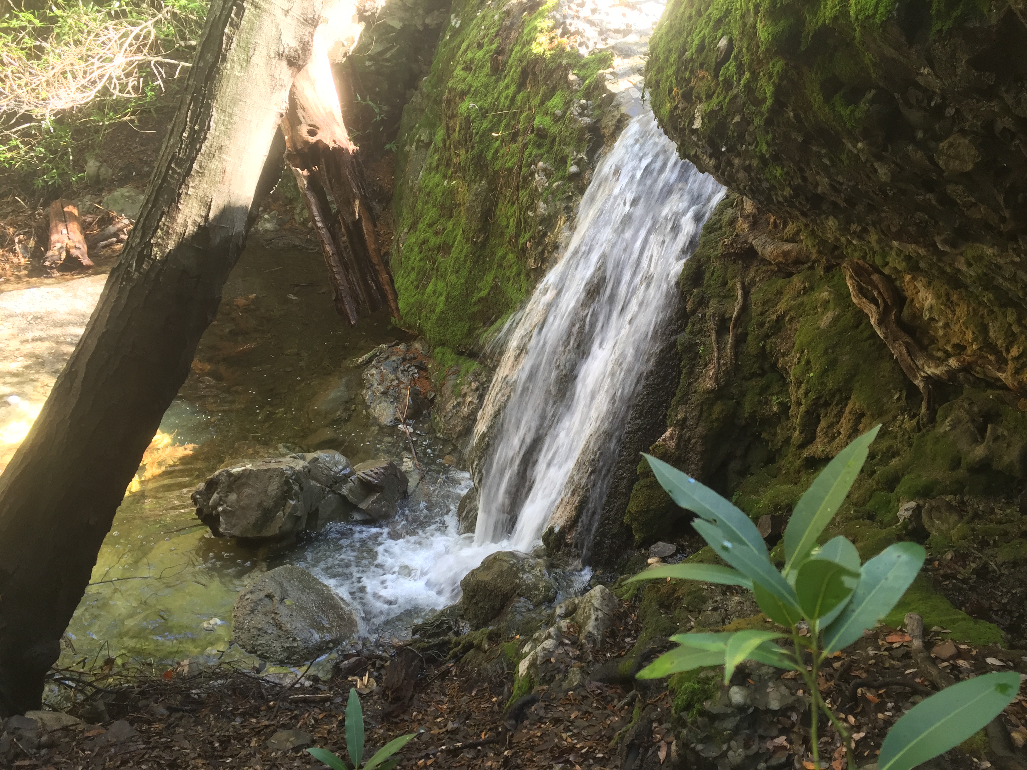 Rose Valley Falls 