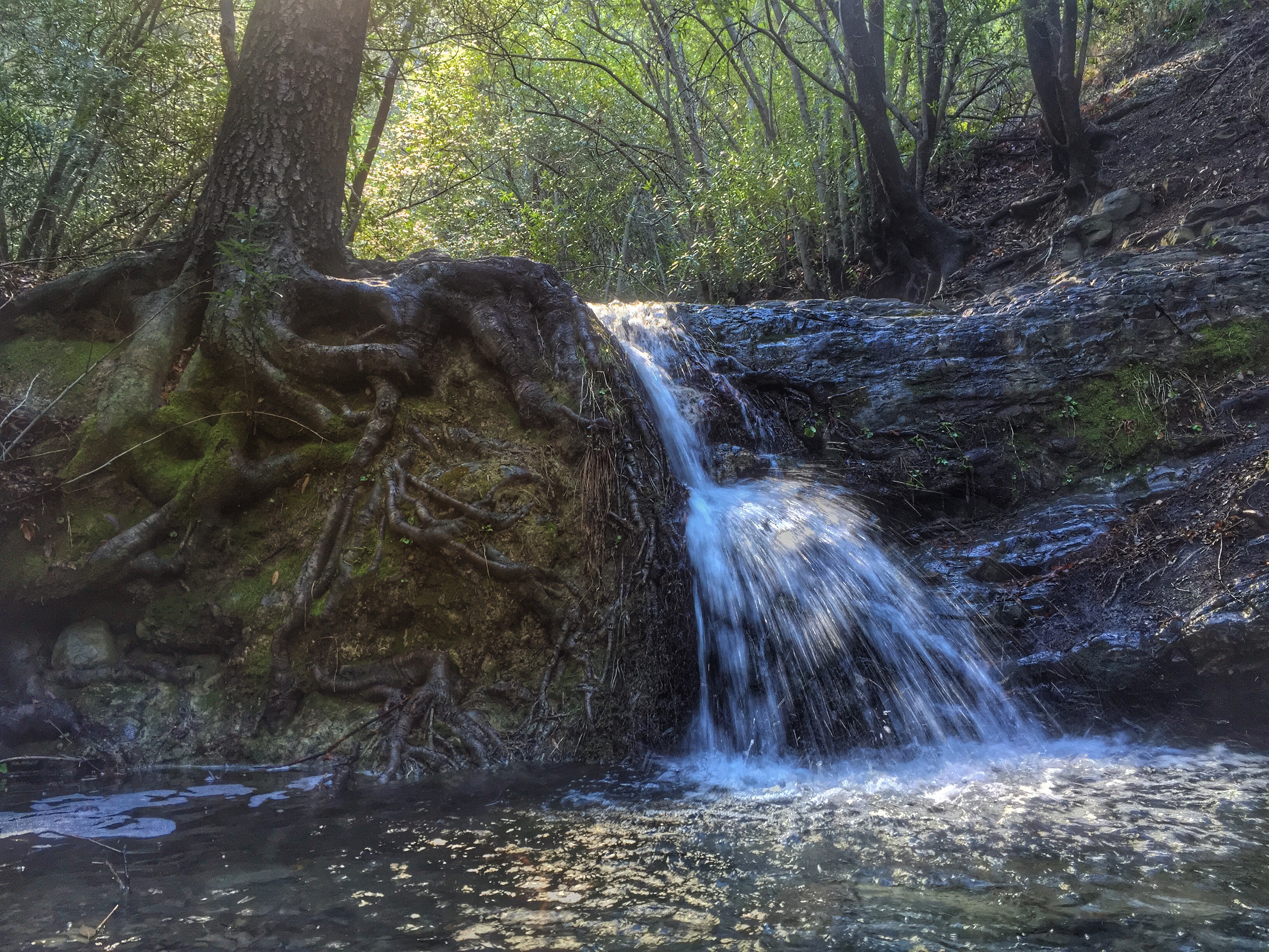 Rose Valley Falls 