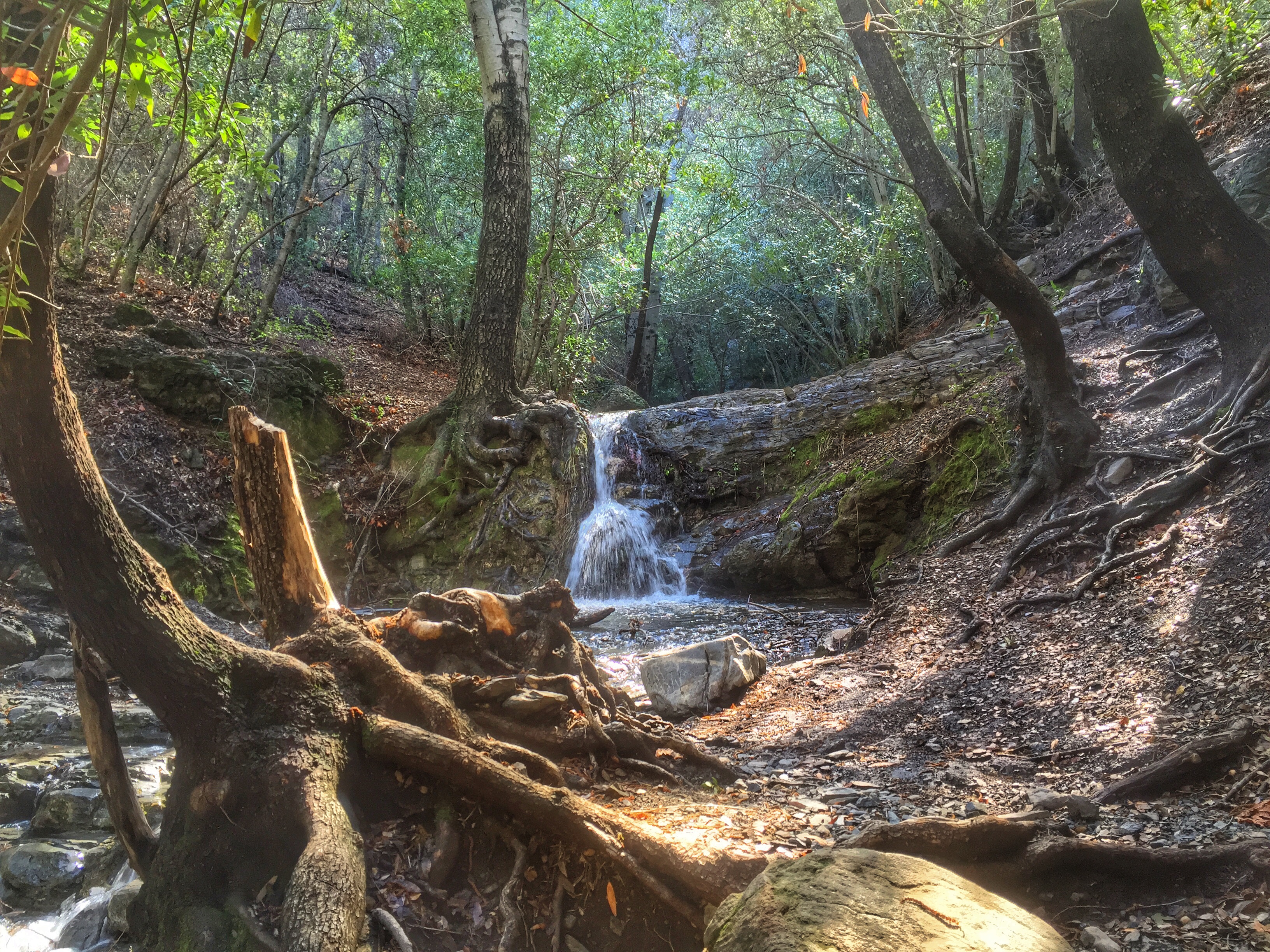 Rose Valley Falls 