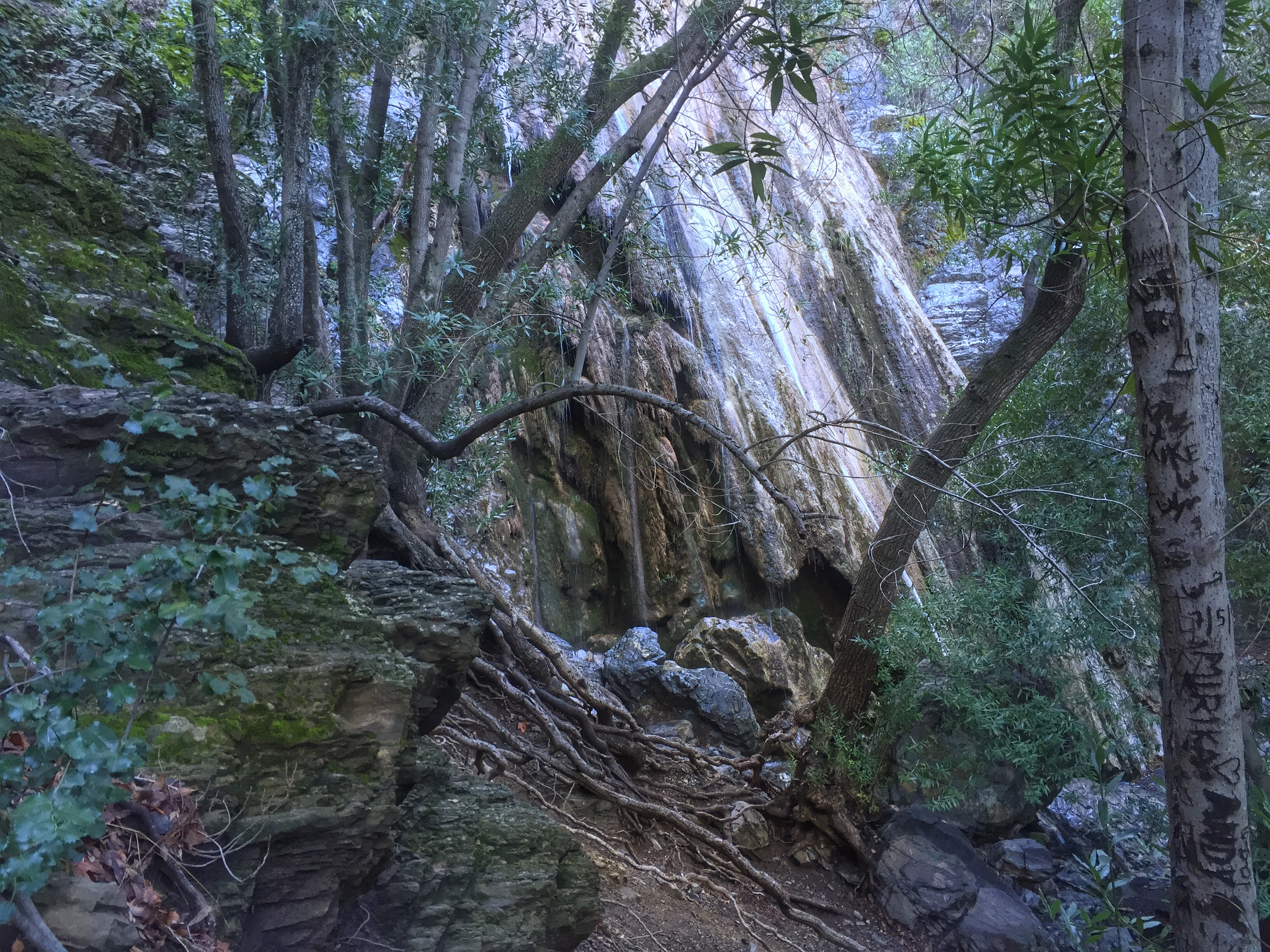 Rose Valley Falls 