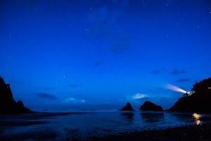 Explore Heceta Head Lighthouse State Scenic Viewpoint