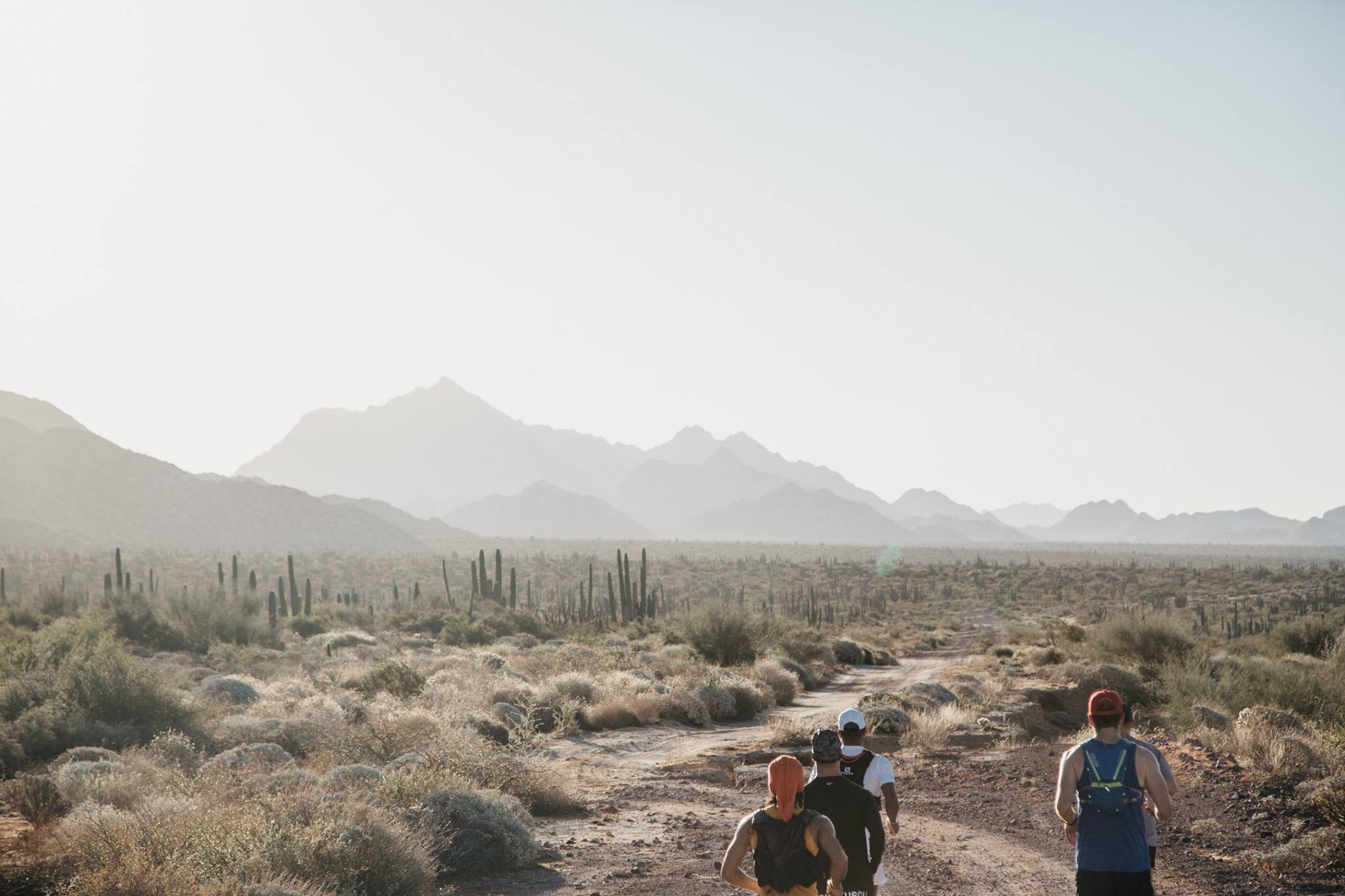 Run the Land of the Seri: El Desemboque to Bahía de Kino