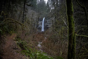 Hike to Pheasant Creek Falls