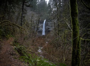 Hike to Pheasant Creek Falls