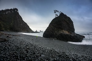 Hike along Short Beach, Oregon