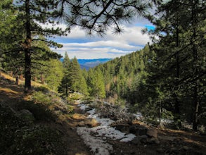 Jones Whites Creek Loop