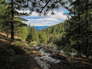 Jones Whites Creek Loop