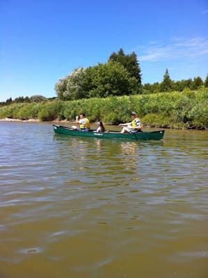 Canoe the Saugeen River