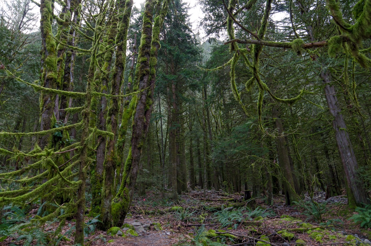 Hike to Flood Falls, British Columbia