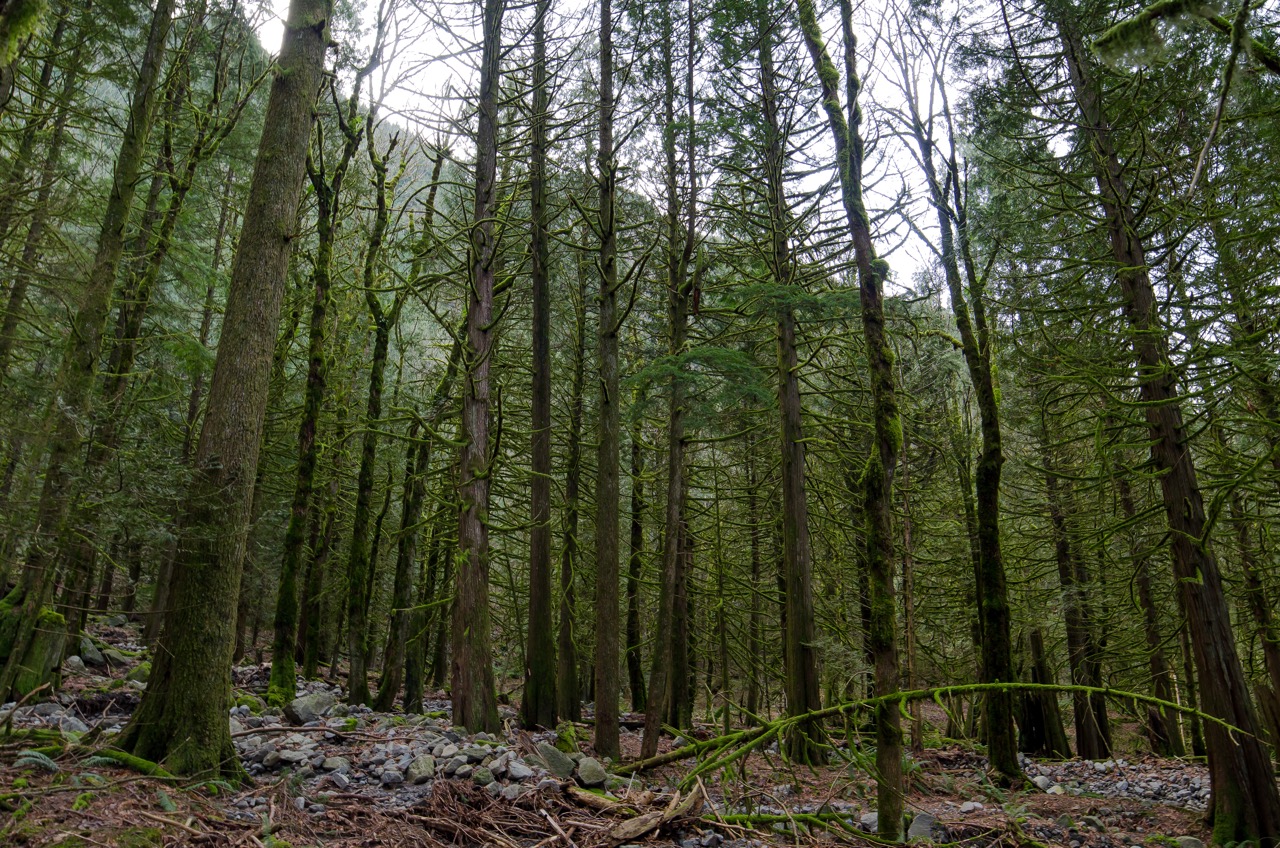 Hike to Flood Falls, British Columbia