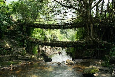 Hike to the Double Decker Living Root Bridges