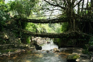 Hike to the Double Decker Living Root Bridges