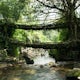 Hike to the Double Decker Living Root Bridges