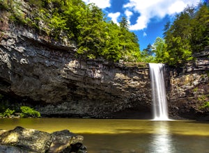 Explore The Cascades Of Tennessee: 10 Must-See Waterfalls