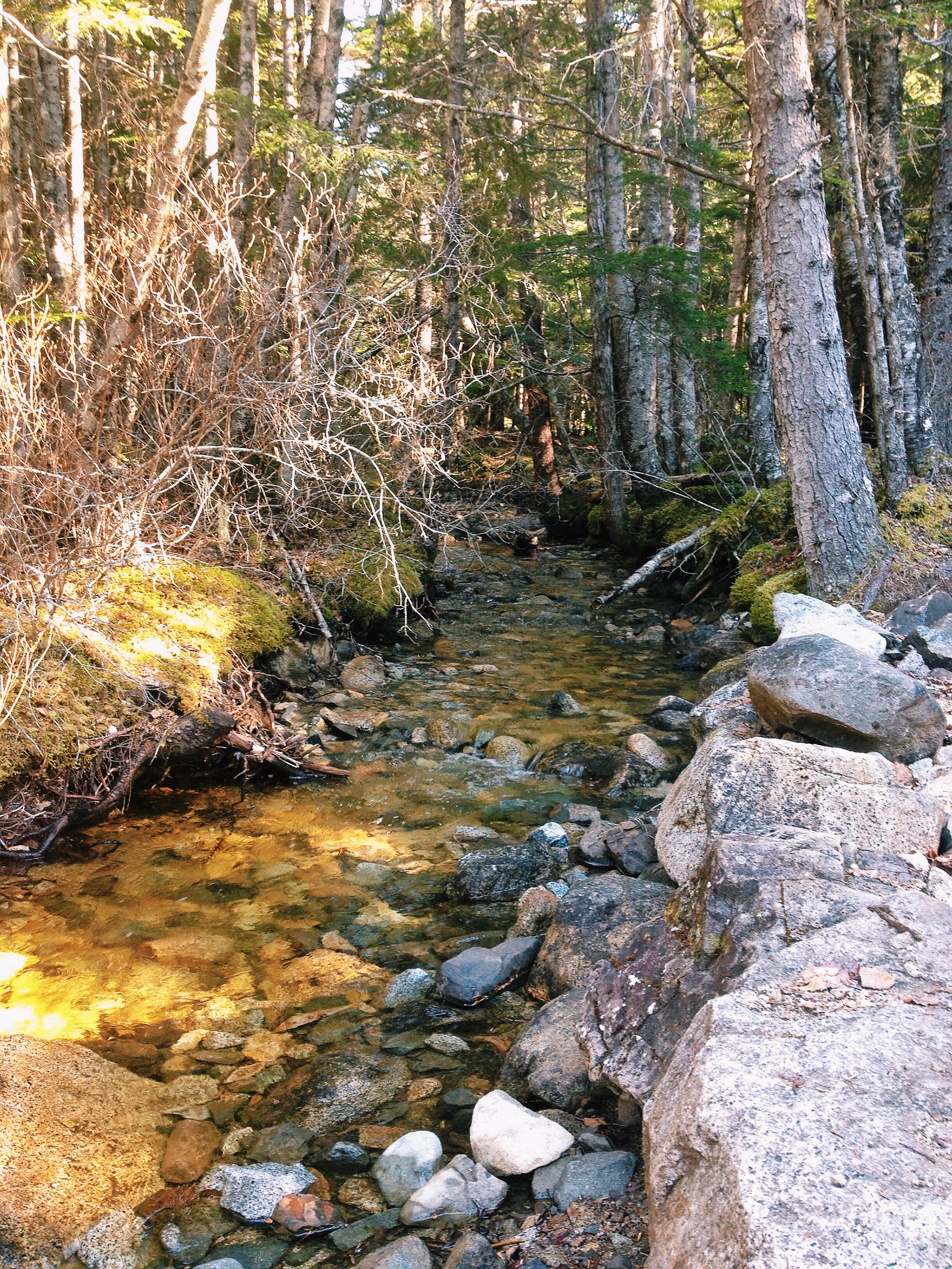 Upper Dewey Lake Trail