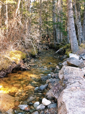 Hike And Camp At Upper Dewey Lake, Lower Dewey Lake Trail