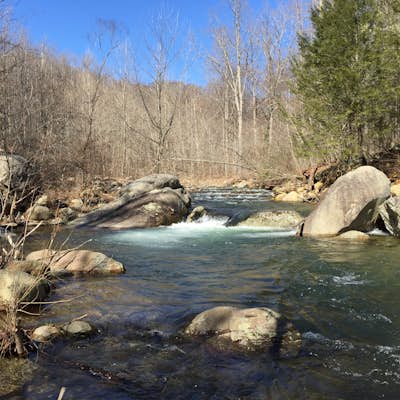 Fly Fish on the Rapidan River