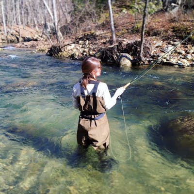Fly Fish on the Rapidan River