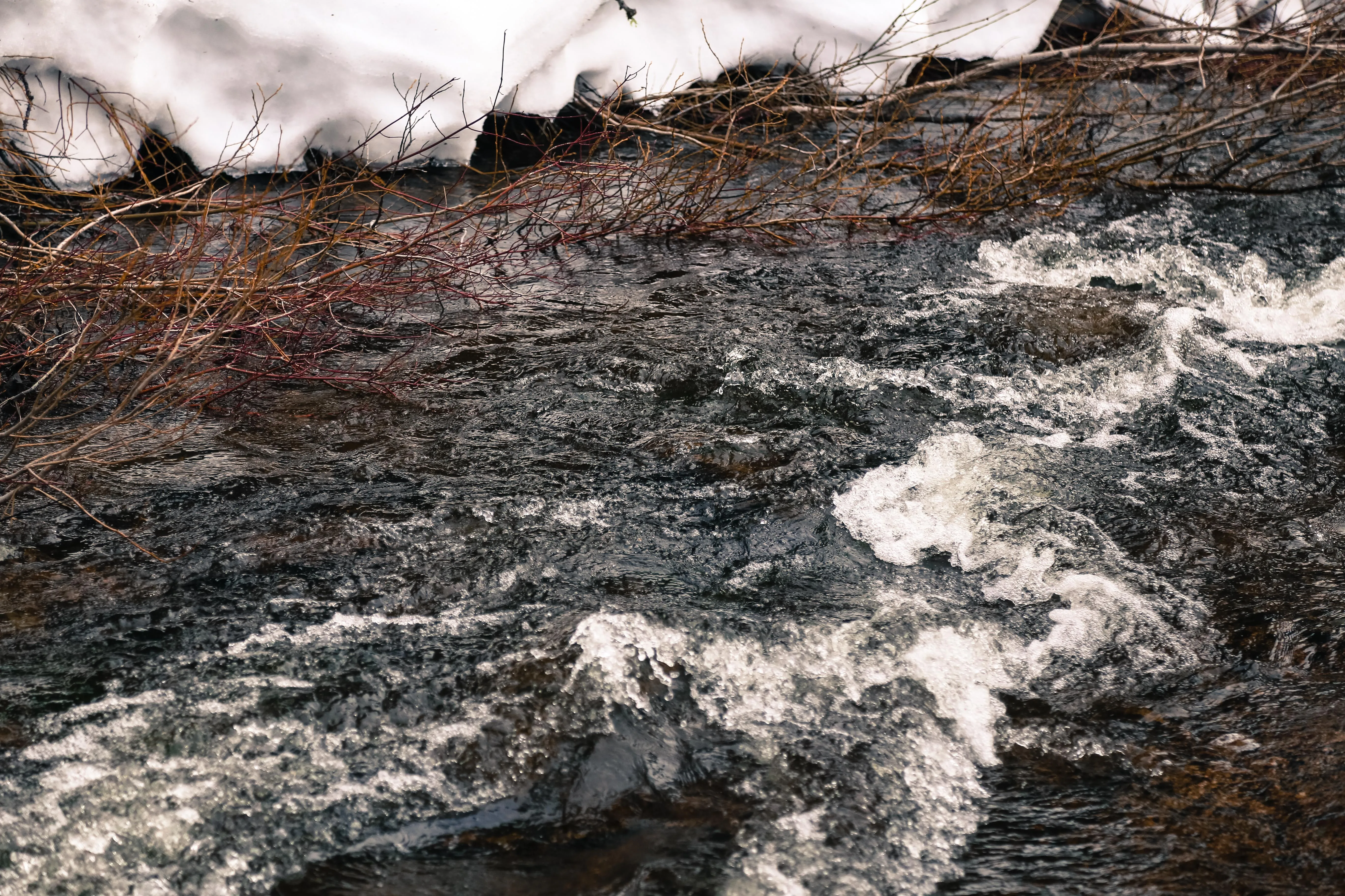 Hike to Alder Creek Falls 