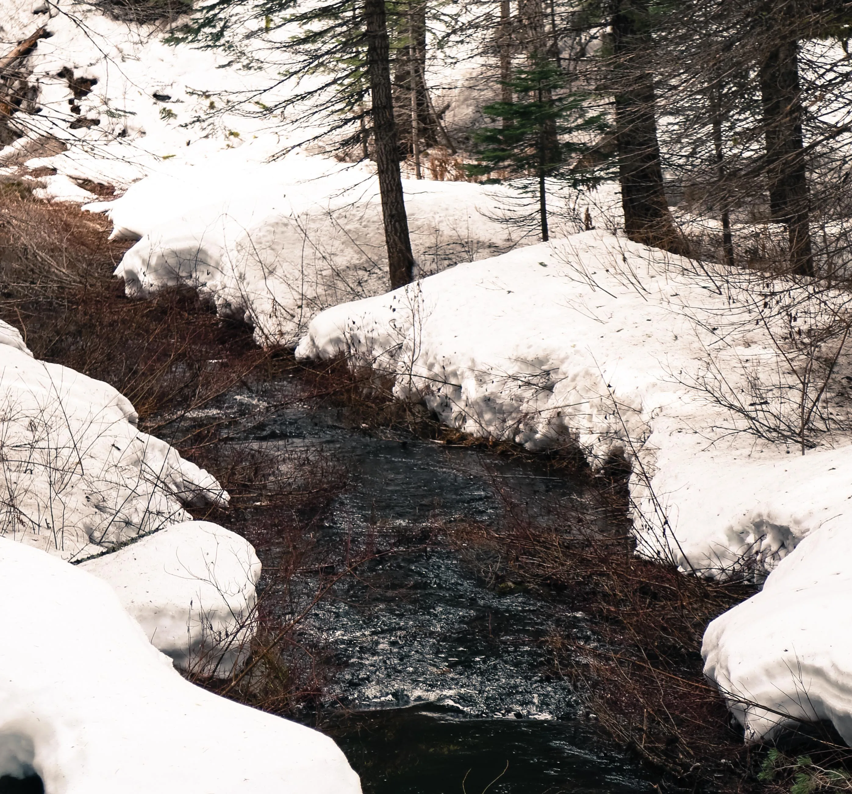 Hike to Alder Creek Falls 
