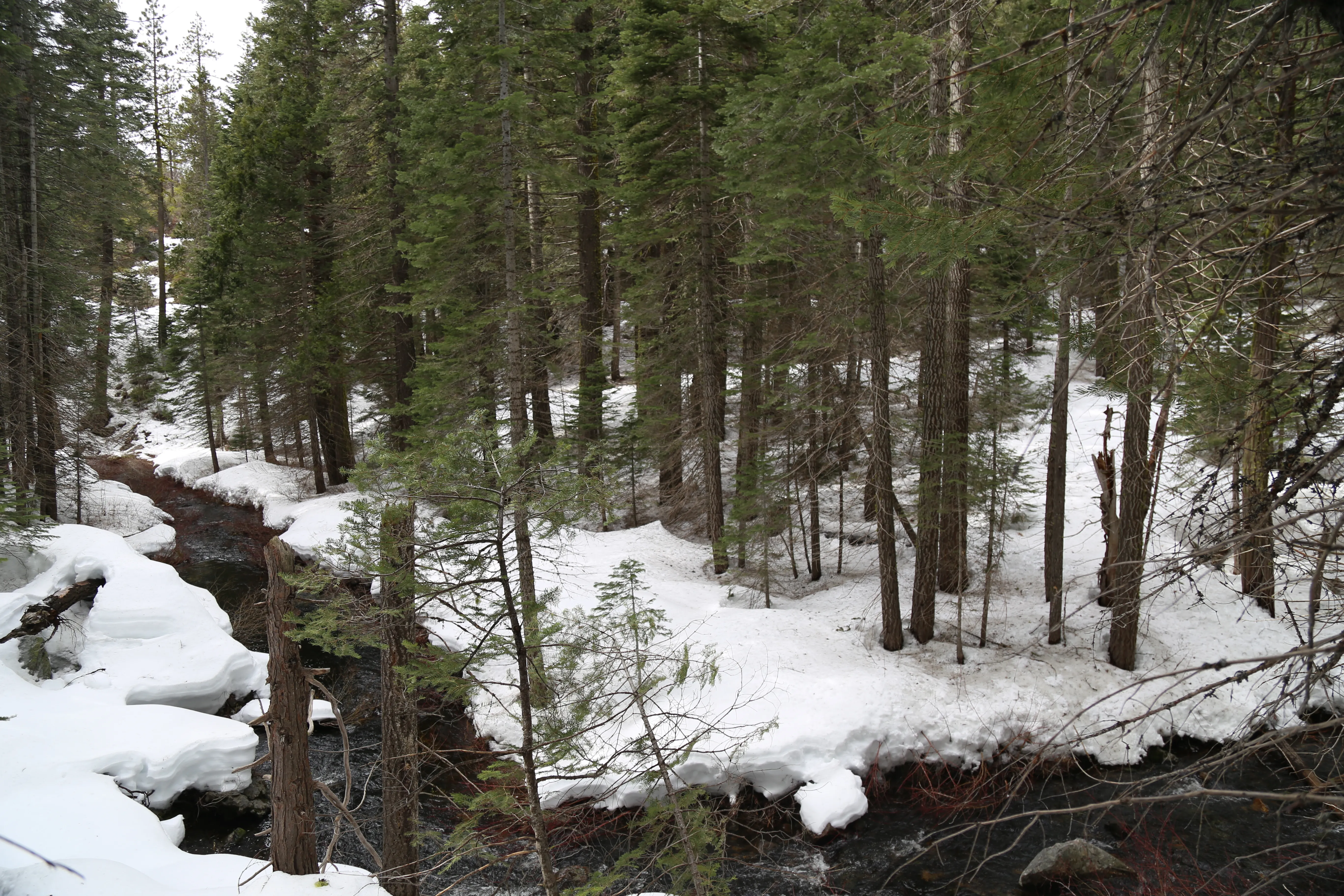 Hike to Alder Creek Falls 