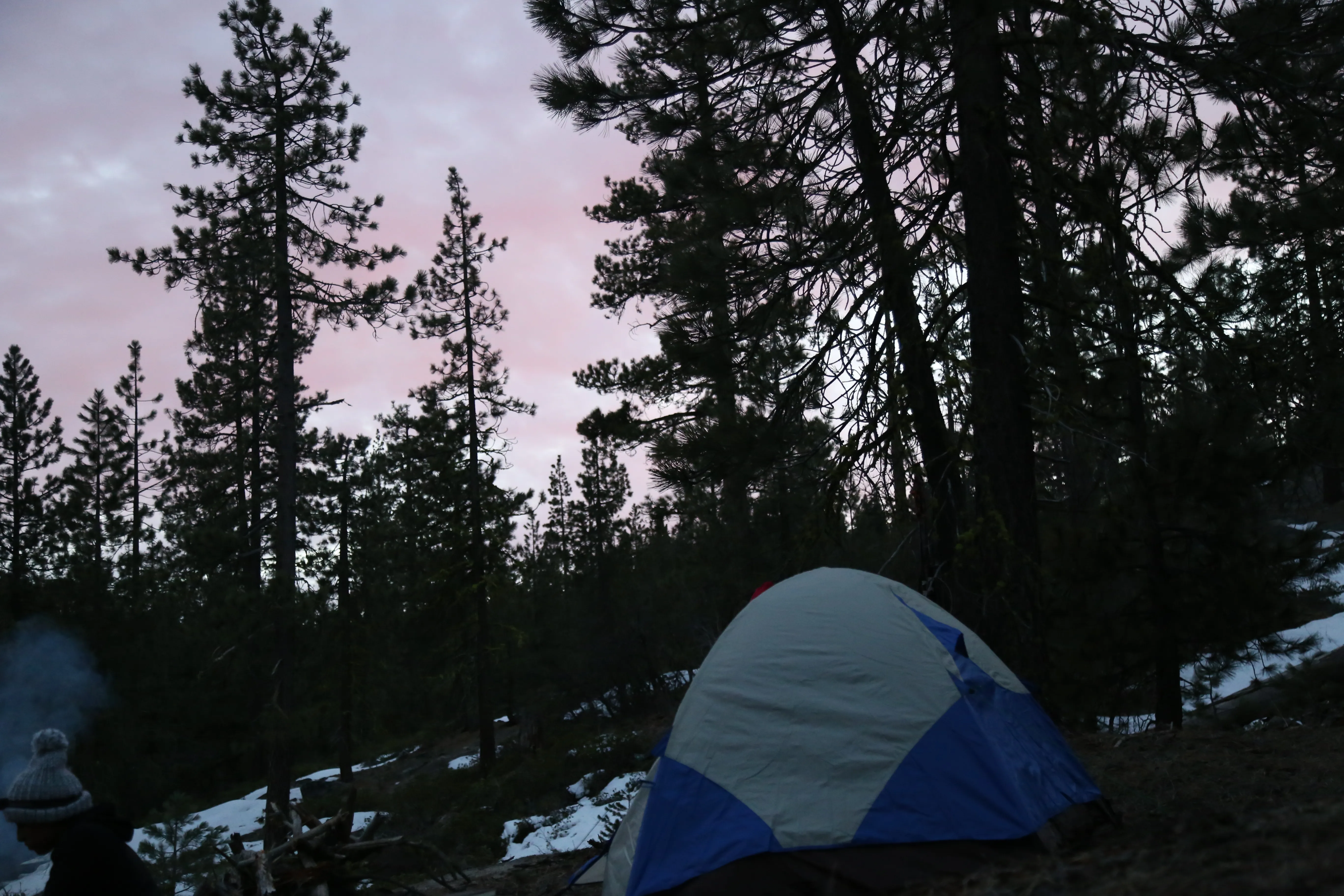 Hike to Alder Creek Falls 