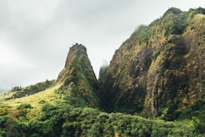 Hike through Iao Valley to Kūkaemoku (The Needle)