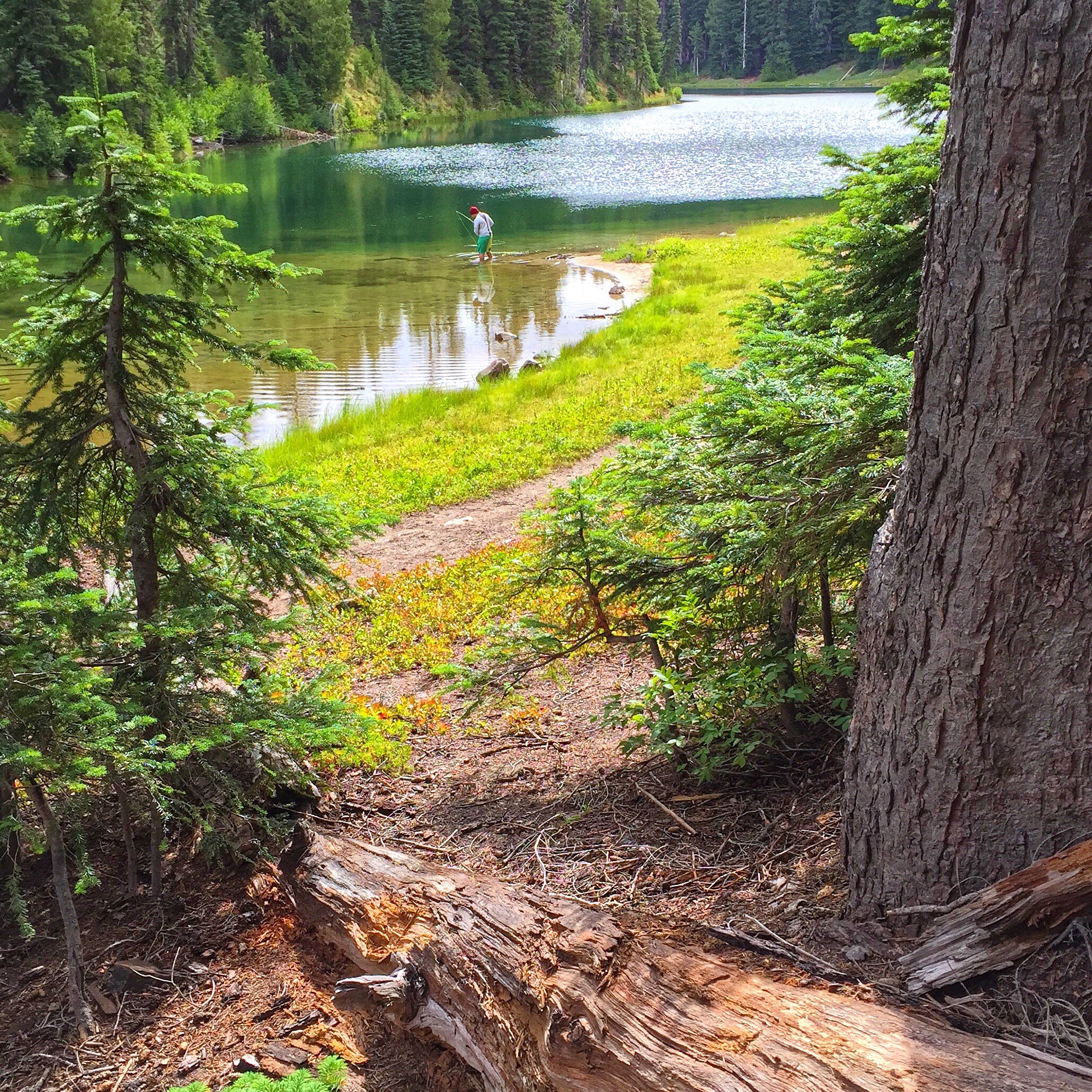 Surprise Lake via South Fork Tieton Trail
