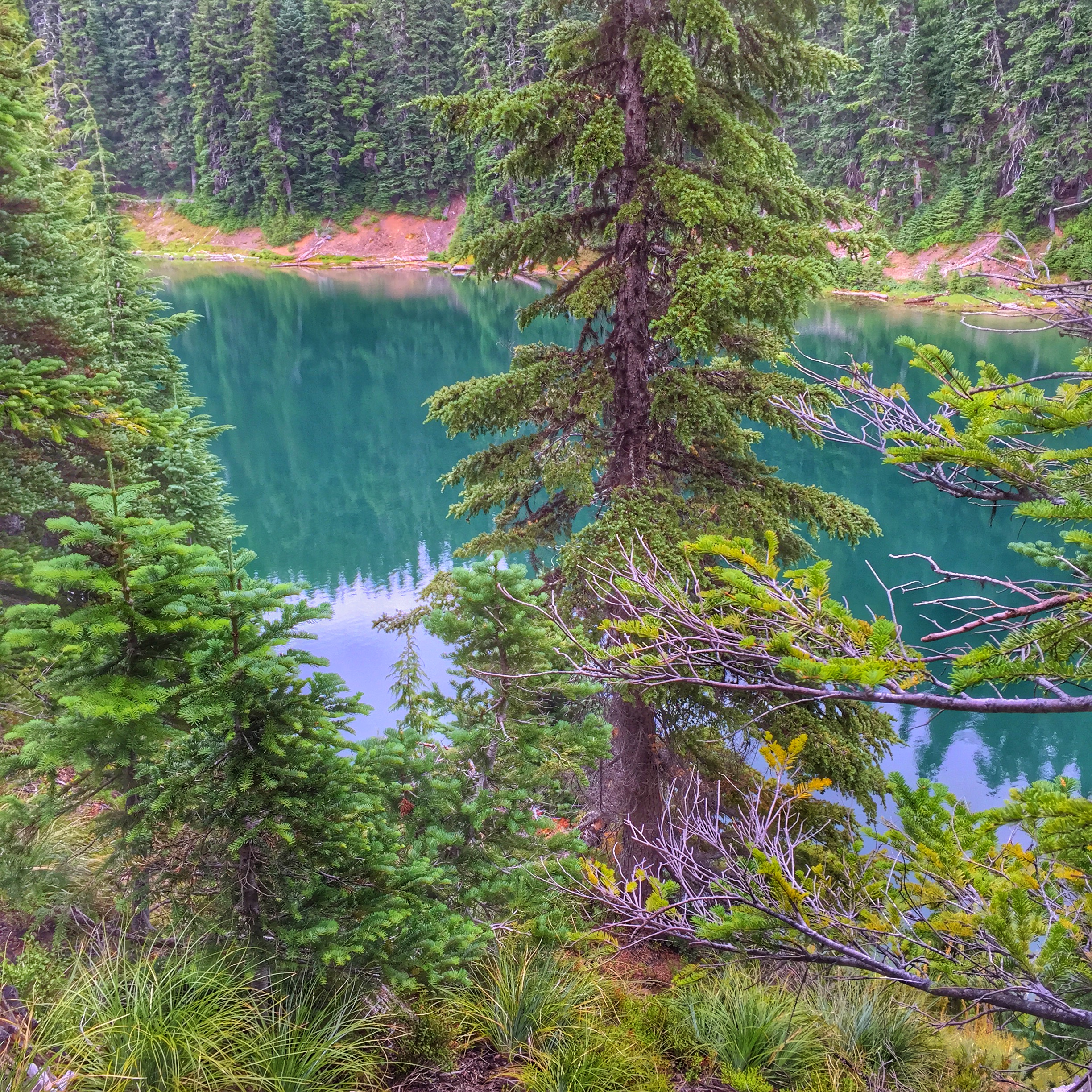 Surprise Lake via South Fork Tieton Trail