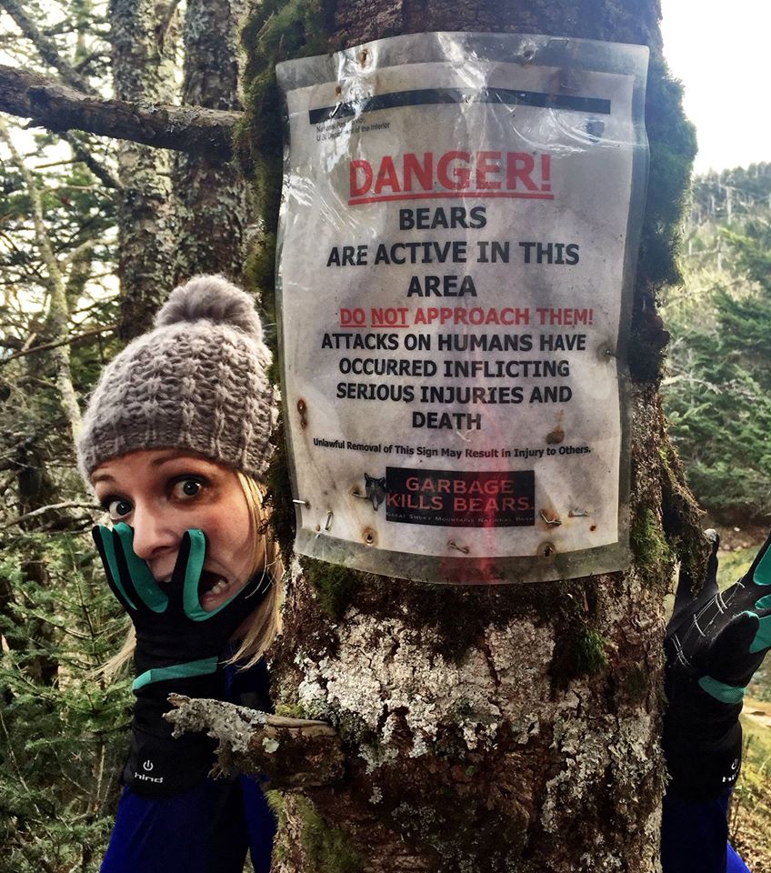 Mount LeConte Lodge via the Boulevard Trail