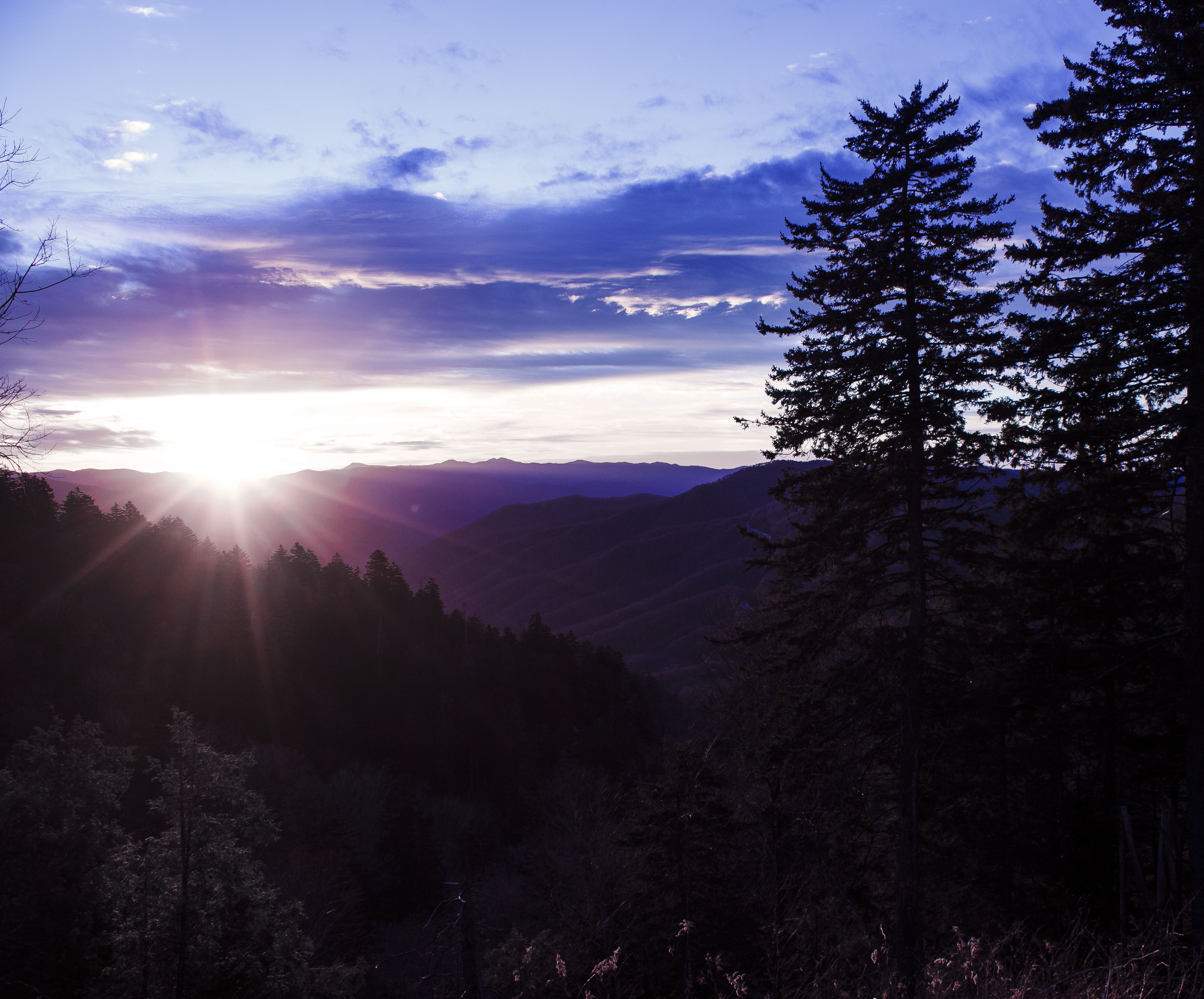 Mount LeConte Lodge via the Boulevard Trail