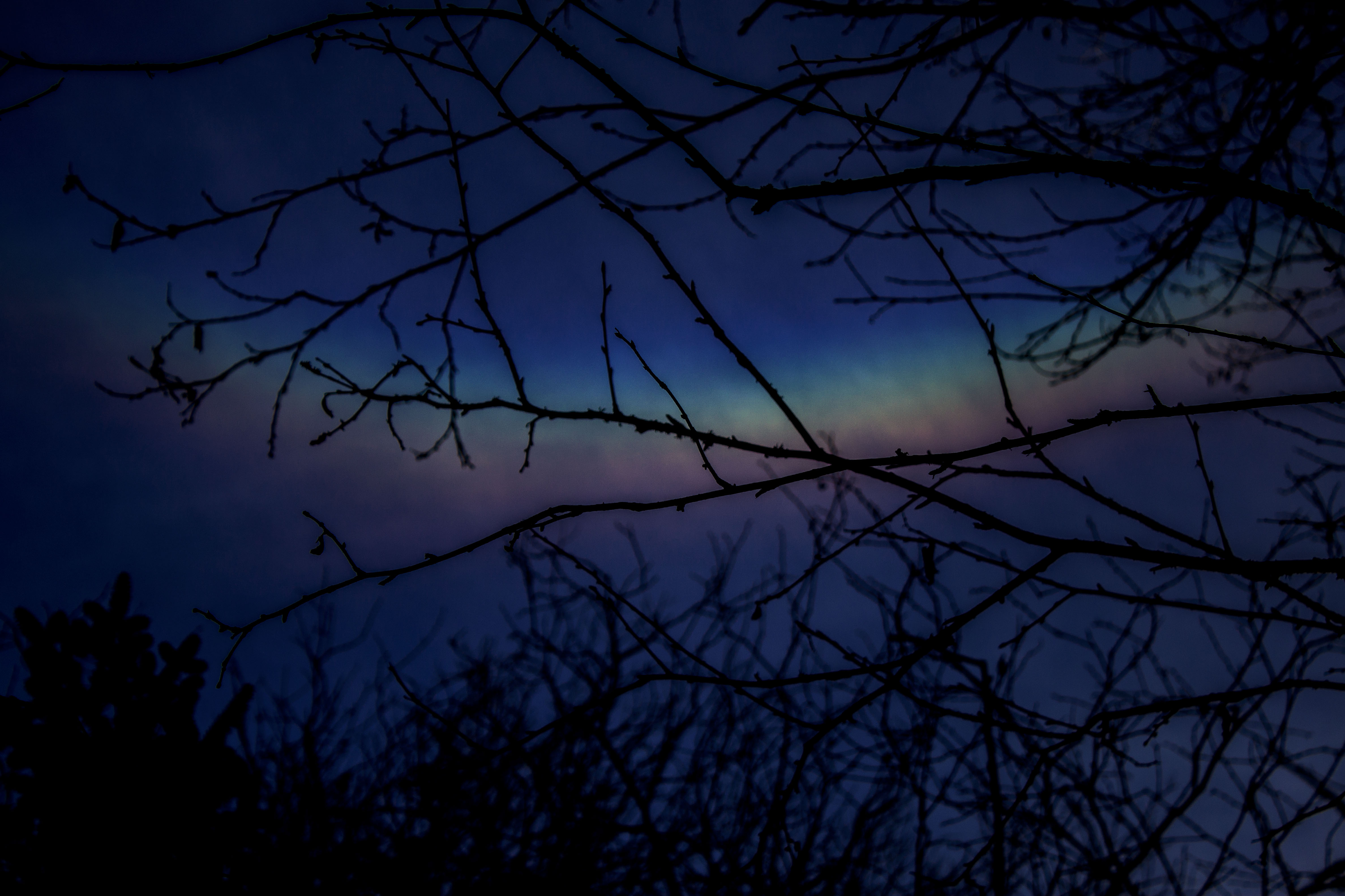 Mount LeConte Lodge via the Boulevard Trail