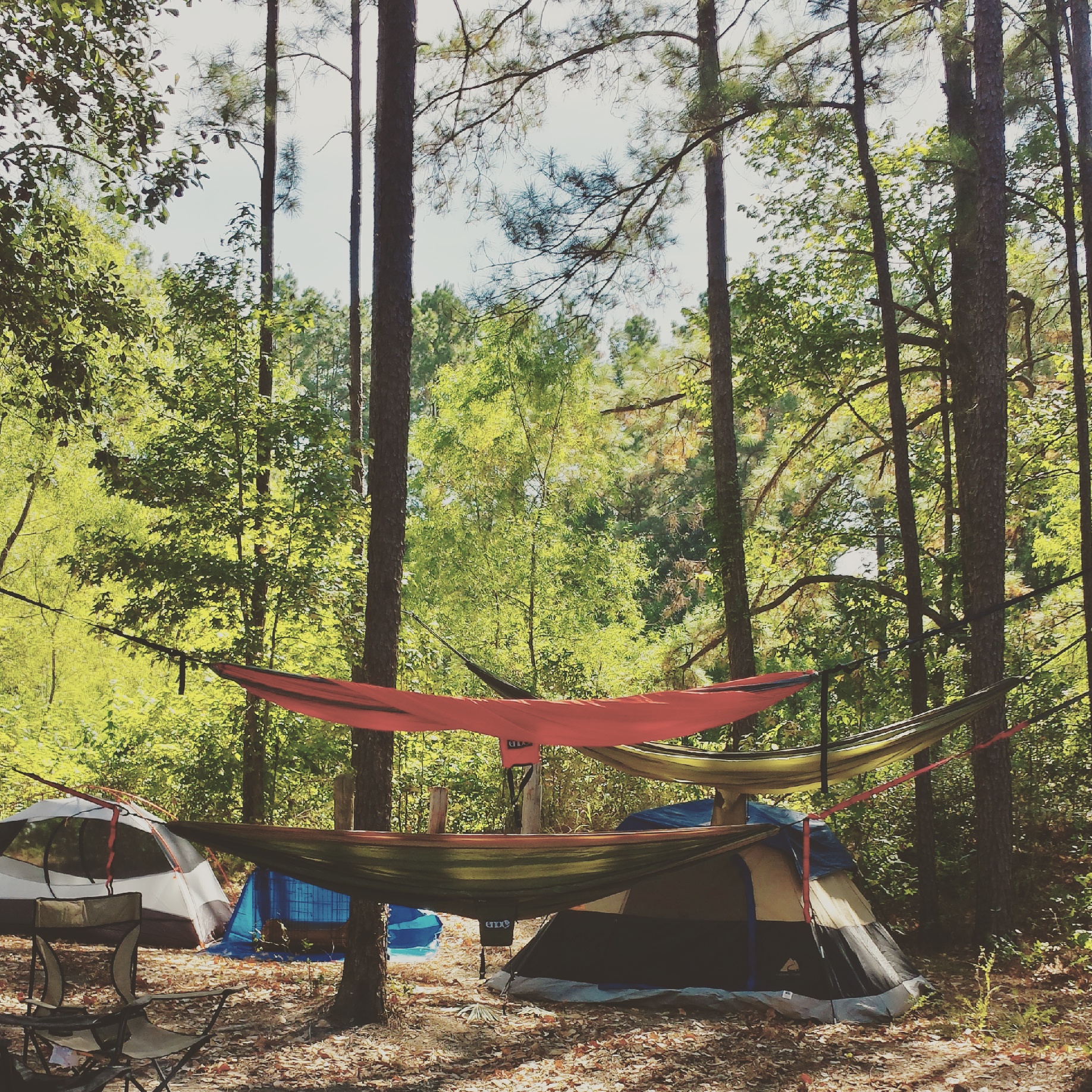 Camp at Kelly's Pond, Sam Houston National Forest