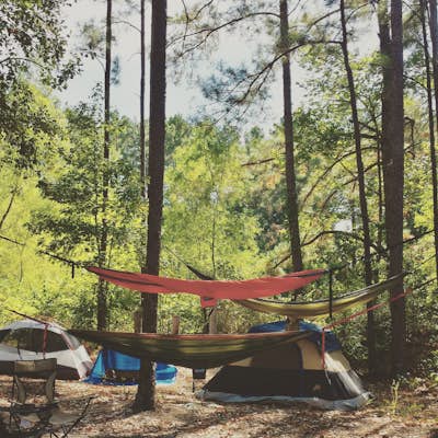 Camp at Kelly's Pond, Sam Houston National Forest