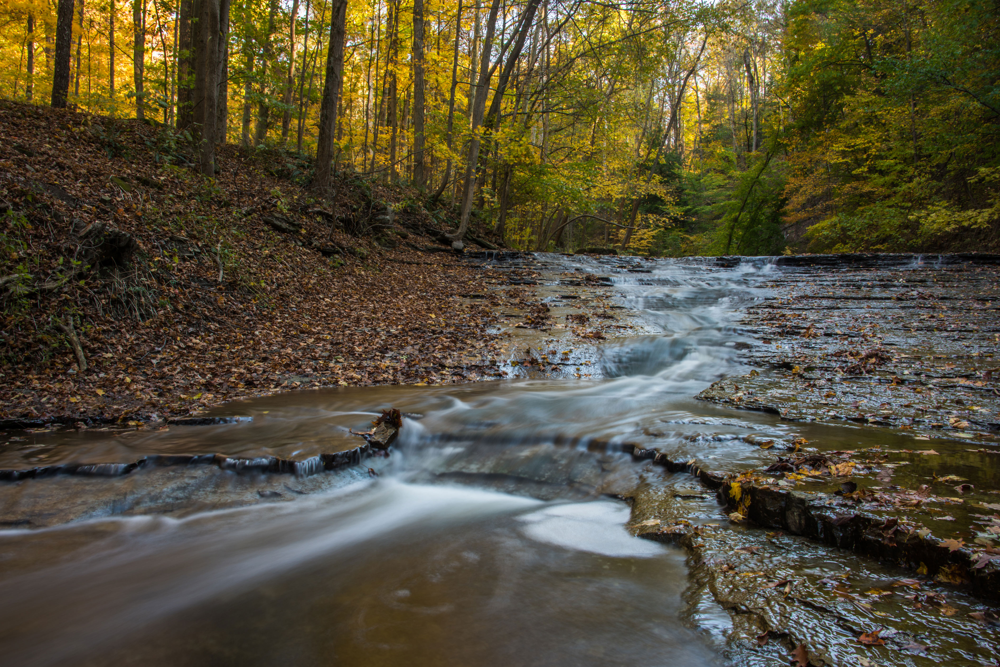 Hike up Brandywine Creek to Brandywine Falls