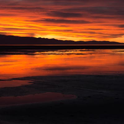 Catch a Sunset at the Great Salt Lake Marina