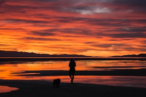 Catch a Sunset at the Great Salt Lake Marina