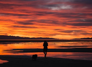 Catch a Sunset at the Great Salt Lake Marina