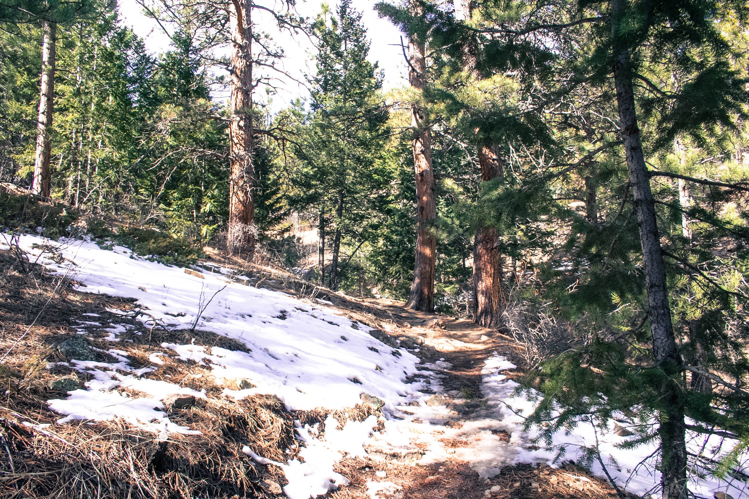 Summit Windy Peak via the Burro Trail