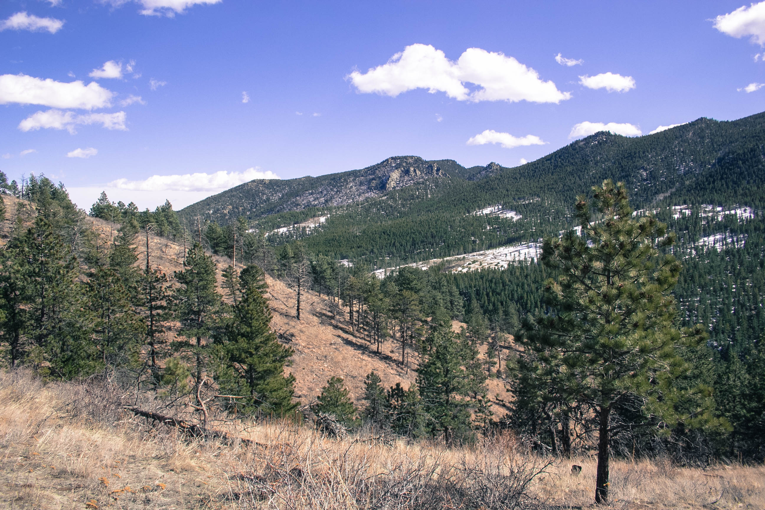 Summit Windy Peak via the Burro Trail