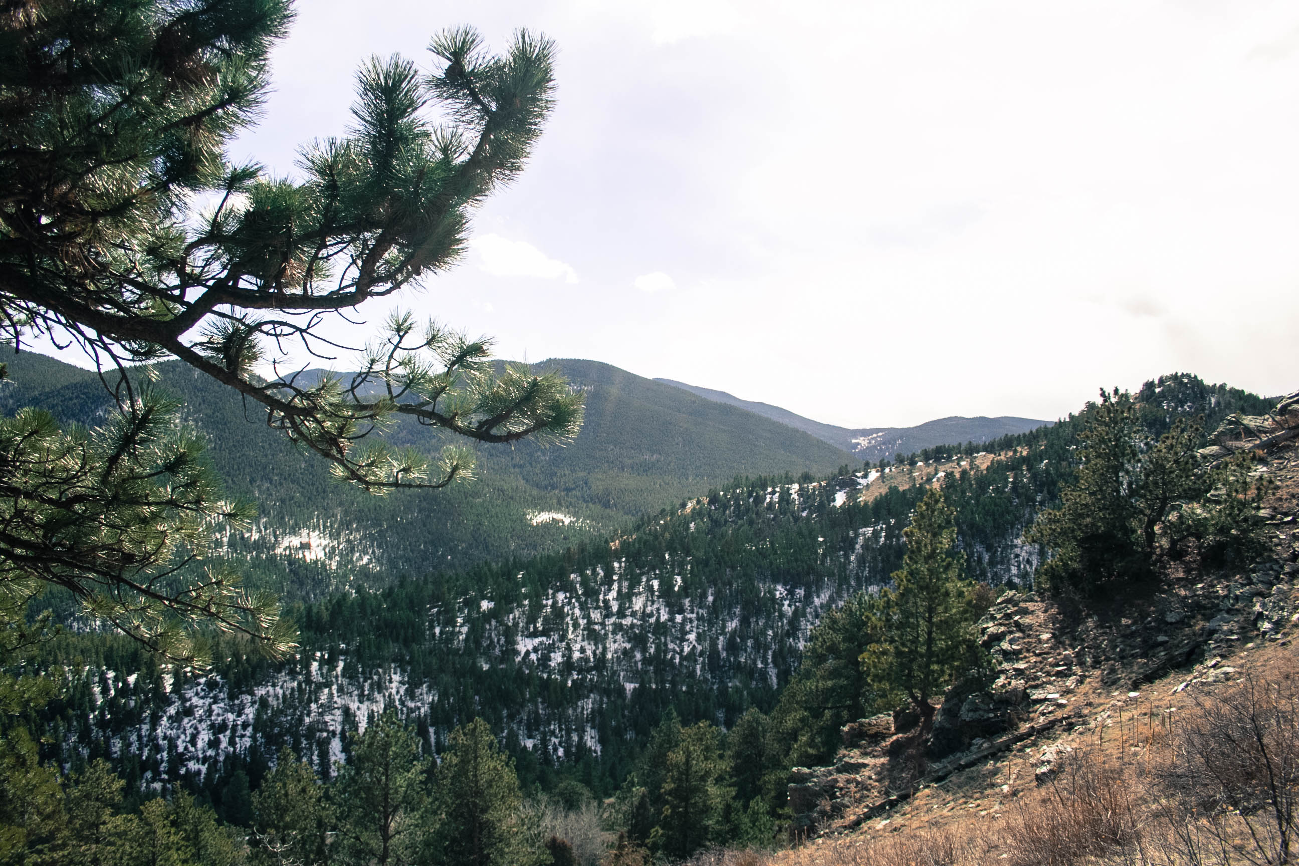 Summit Windy Peak via the Burro Trail