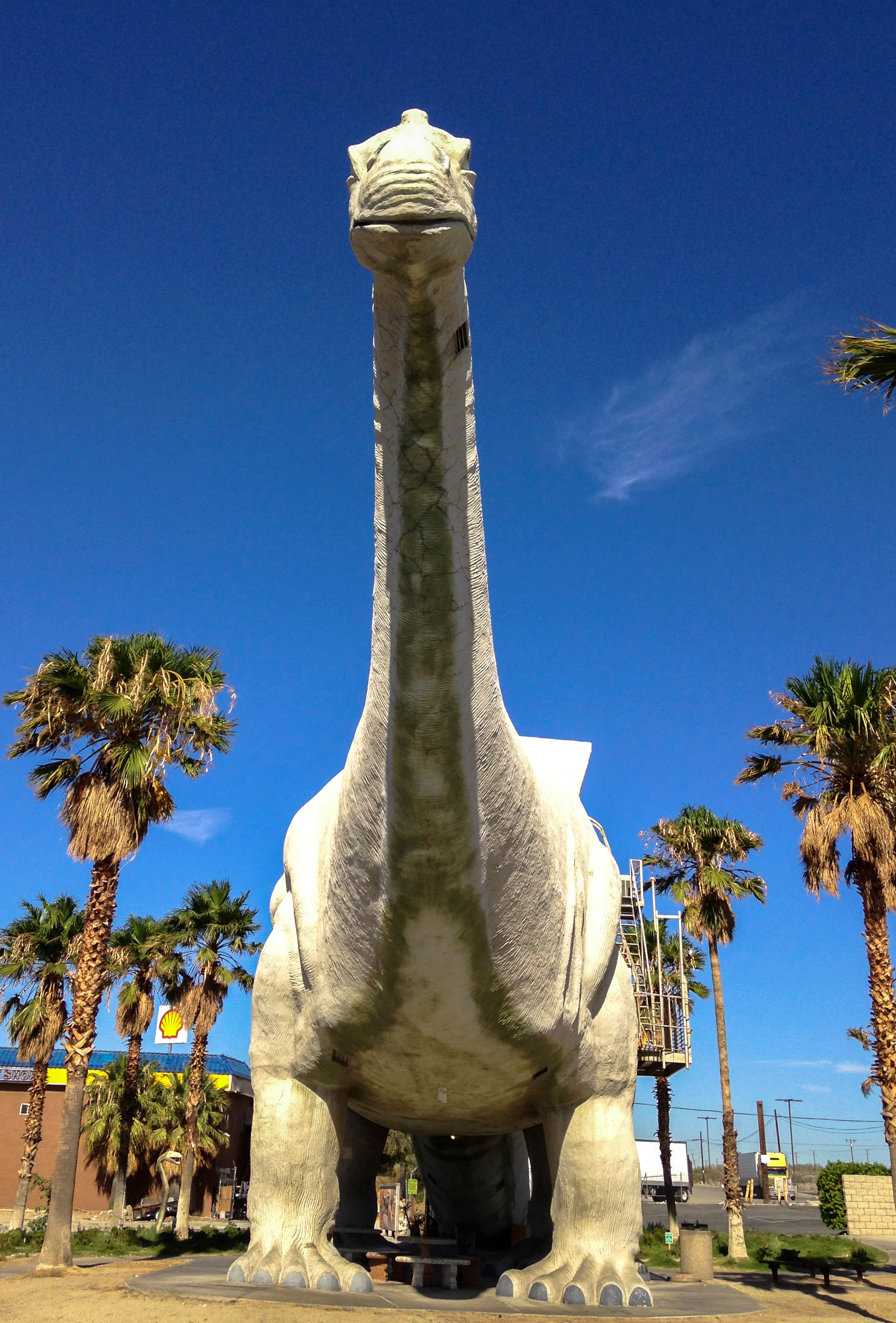 Check Out the Cabazon Dinosaurs