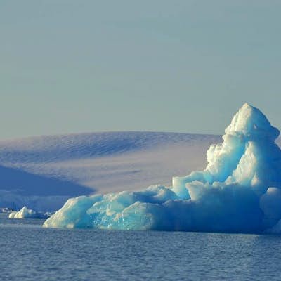 Explore the West Antarctic Peninsula