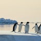 Explore the West Antarctic Peninsula