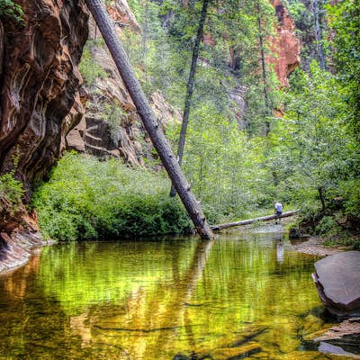 Hike through the West Fork Trail in Summer or Winter